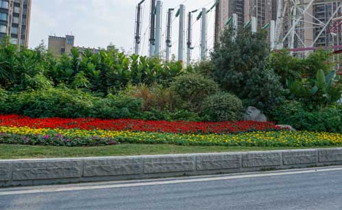 市政道路綠化養護